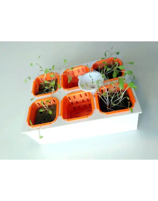 Topraksız Tarım Seti – 6 Bölmeli Mini Hidroponik Bahçe Seti