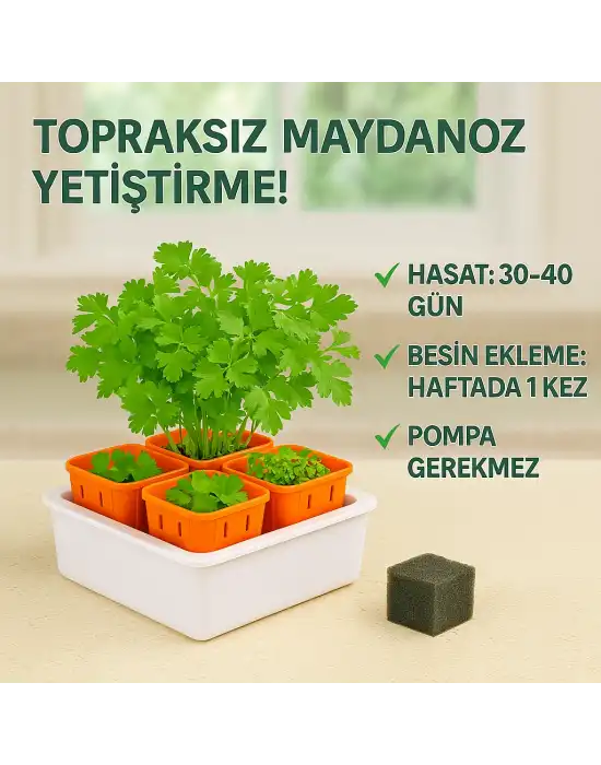 Topraksız Tarım Seti – 6 Bölmeli Mini Hidroponik Bahçe Seti