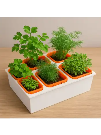 Topraksız Tarım Seti – 6 Bölmeli Mini Hidroponik Bahçe Plastik Parça Seti