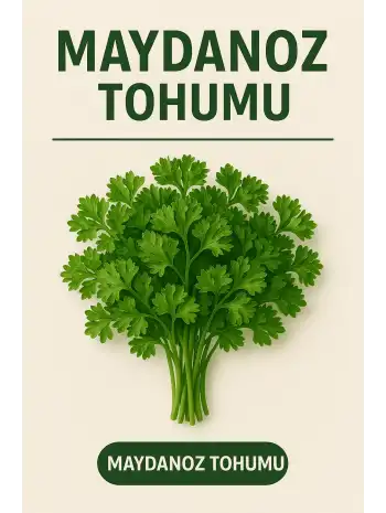 Maydanoz Tohumu