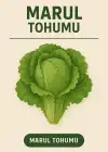 Marul Tohumu