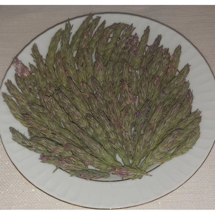 100 GR Doğal Dağ Kekiği