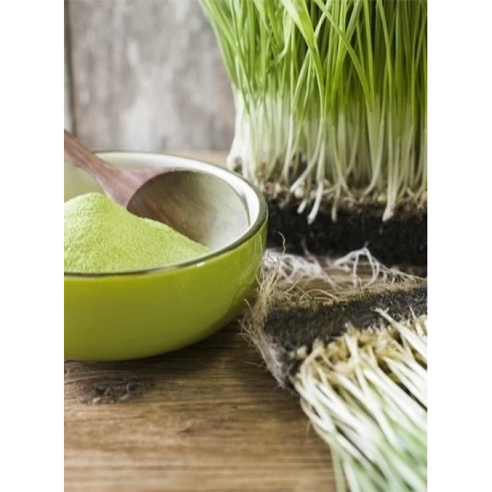 Naturiga Organik Buğday Çimi Tozu (100gr)