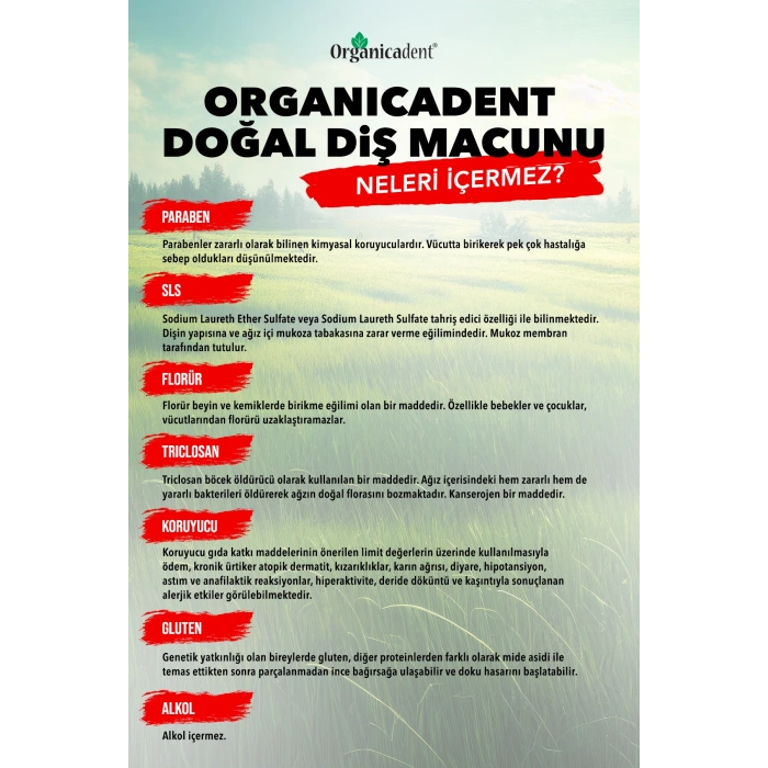 Organicadent Misvaklı Doğal Diş Macunu (75 ml)
