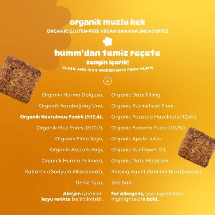 Humm Organik Glutensiz Vegan Muzlu Kek