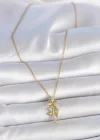316L Çelik Gold Renk Zincir Zirkon Taşlı Yusufçuk Model Kadın Kolye