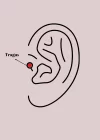 316L Çelik Gümüş Renk Pembe Zirkon Taşlı Sallantı Yıldız Detay Tragus Piercing