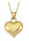 Gümüş 3 Boyutlu Gold Kalp Kadın Kolye