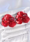Pirinç Kırmızı Renk Gül Model Kadın Küpe