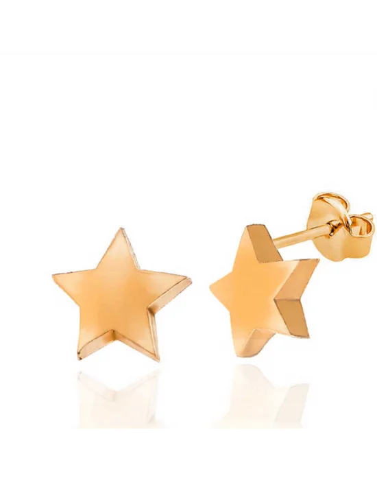 Gümüş Rose Yıldız Çivili Kadın Küpe