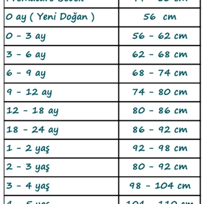 Aslan Desenli 2li % 100 Pamuk Erkek Bebek Takımı