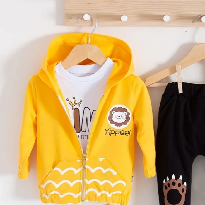 Aslan Desenli 3lü Erkek Bebek Takımı