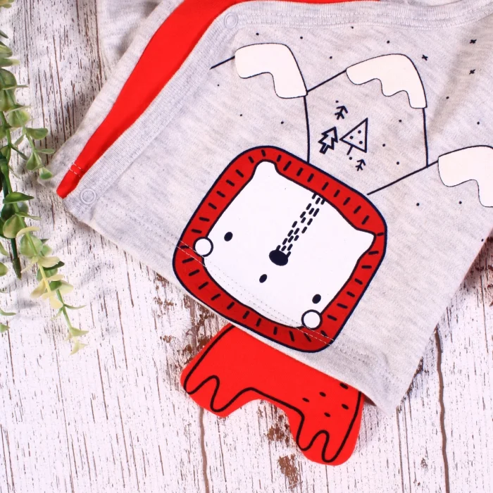 Aslan Figürlü 3lü Erkek Hastane Çıkışı