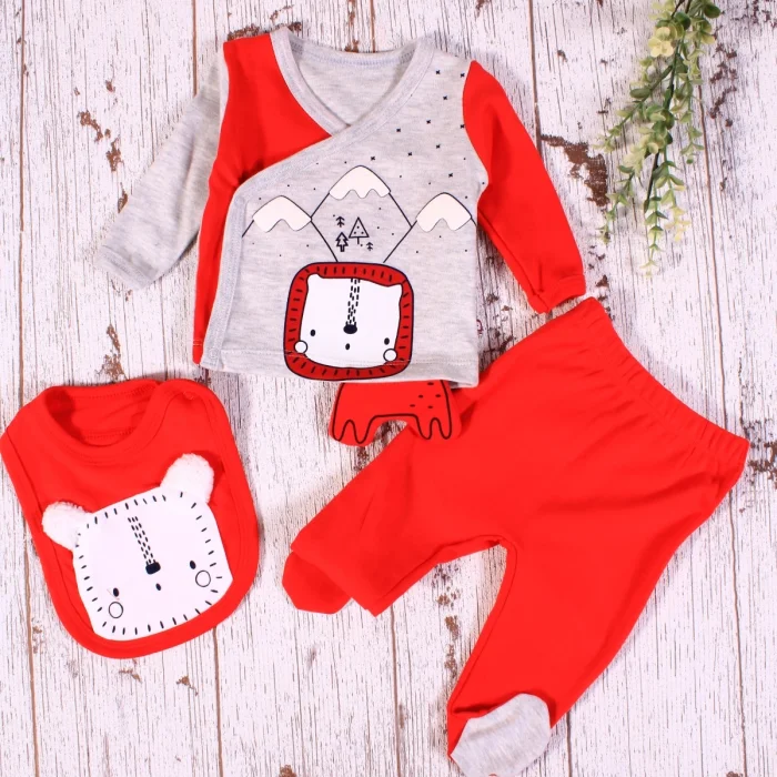 Aslan Figürlü 3lü Erkek Hastane Çıkışı