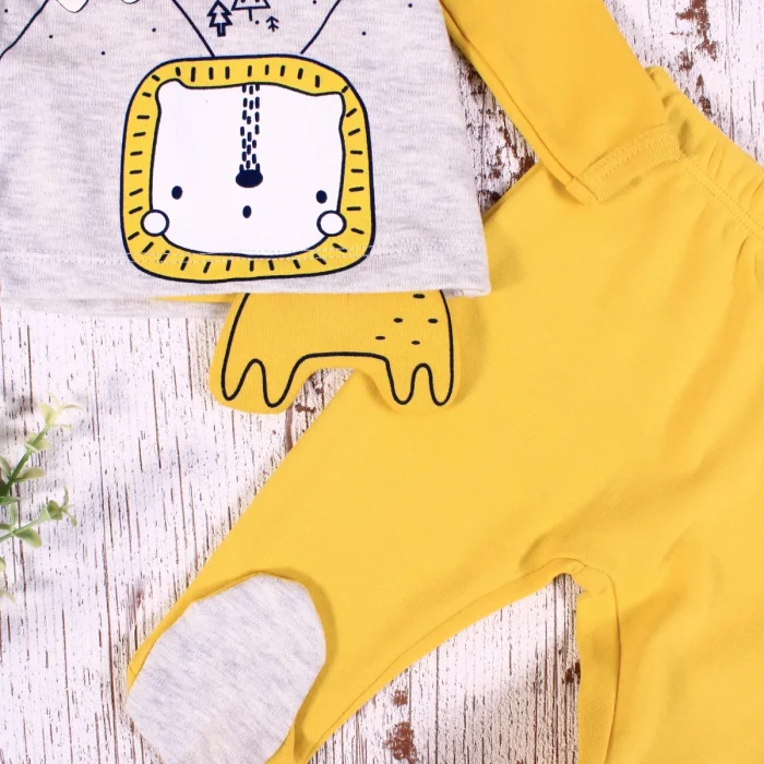 Aslan Figürlü 3lü Erkek Hastane Çıkışı