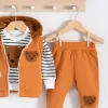 Peluş Ayıcık Desenli Kapişonlu 3lü Erkek Bebek Takımı