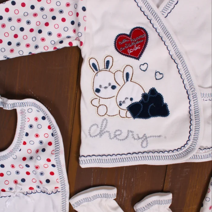 Tavşan Desenli 5 Parça Erkek Bebek Hastane Çıkışı Seti