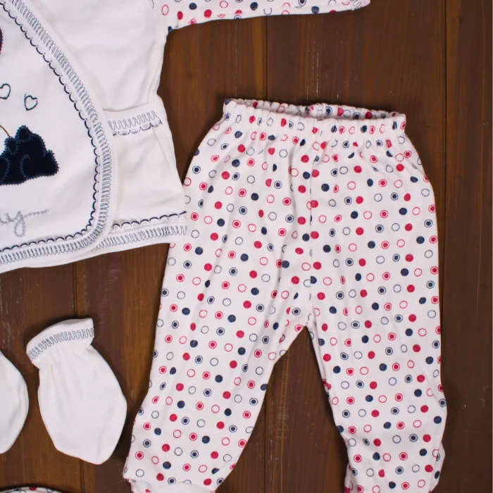 Tavşan Desenli 5 Parça Erkek Bebek Hastane Çıkışı Seti