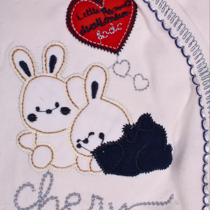 Tavşan Desenli 5 Parça Erkek Bebek Hastane Çıkışı Seti