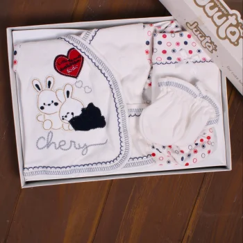 Tavşan Desenli 5 Parça Erkek Bebek Hastane Çıkışı Seti