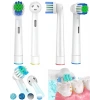 Renk Halkalı Aile Tipi Diş Fırçası Yedek Başlığı 4’lü Paket