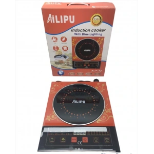 ALP-12 DİJİTAL TEKLİ ELEKTRİKLİ OCAK 2200W (5047)