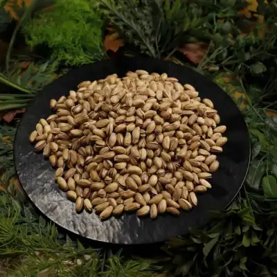 Kavrulmuş Tuzlu Antep Fıstığı