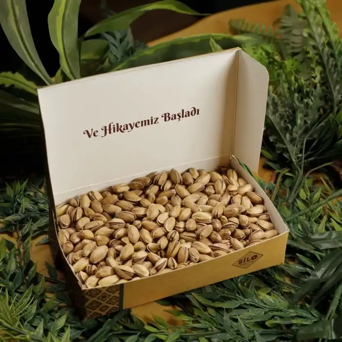 Kavrulmuş Tuzlu Antep Fıstığı