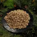 Kavrulmuş Tuzlu Antep Fıstığı