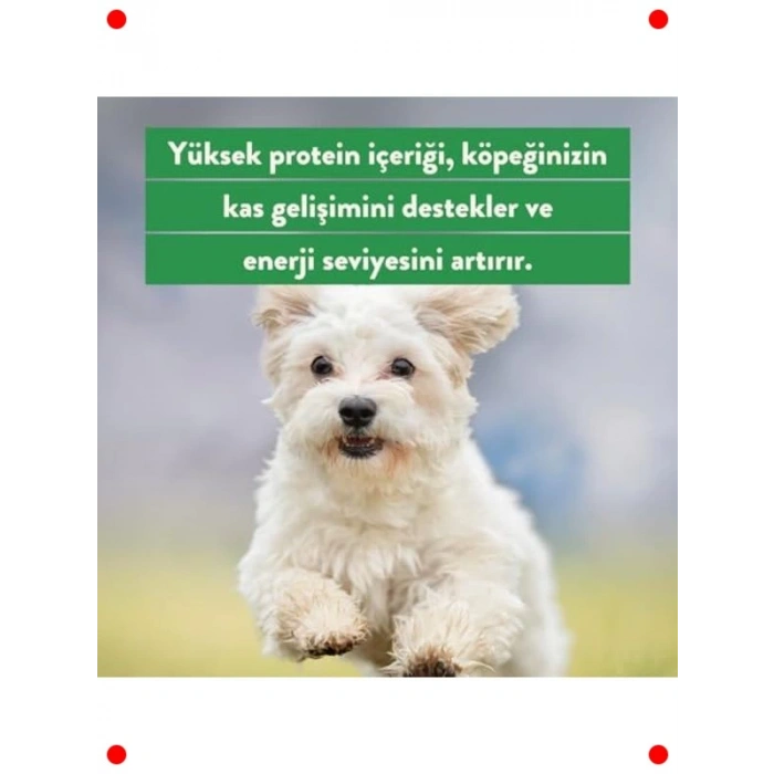 %100 Doğal Tavuk Göğüs Kedi Ödülü - Glutensiz 30 gr