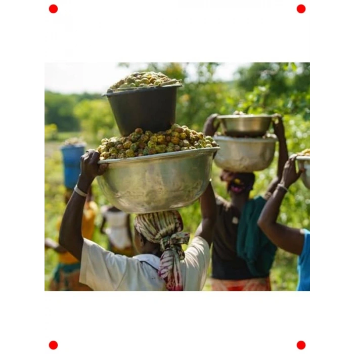 %100 Saf Shea Yağı 100ML