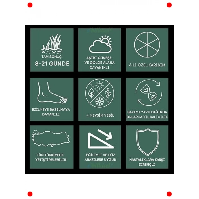 1 Kg Çok Yıllık Çim Tohumu - 6lı Karışım | 4 Mevsim Yeşil