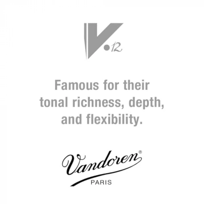 10 Adet V12 Bb Klarnet Yaprakları, Kalınlık 4,5