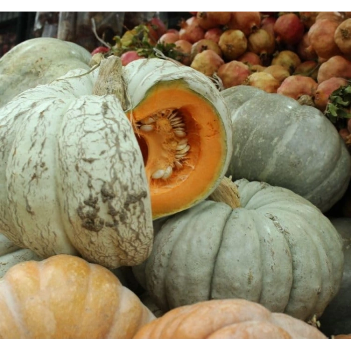 10 Gram Kabak Bal Tohumu, Çoklu Paket