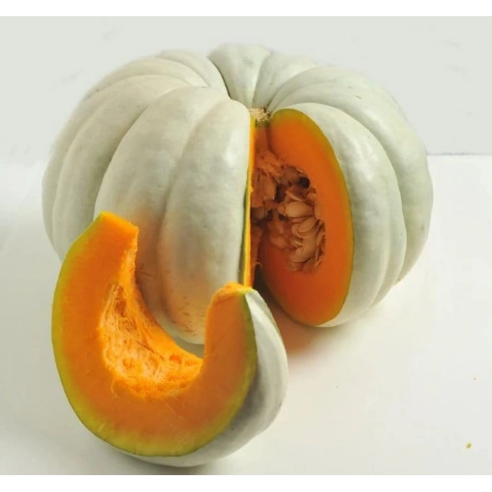 10 Gram Kabak Bal Tohumu, Çoklu Paket