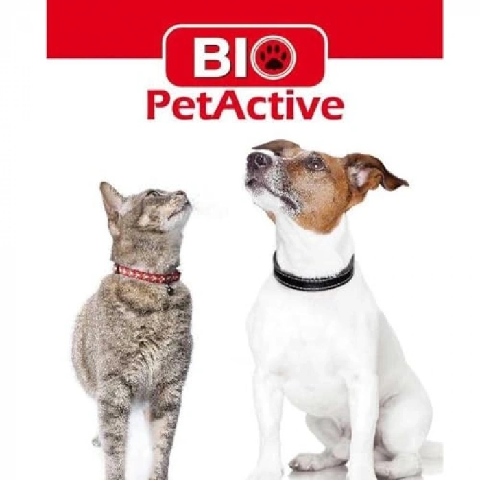 100 ml Kedi İçin Catnip Oyun Spreyi