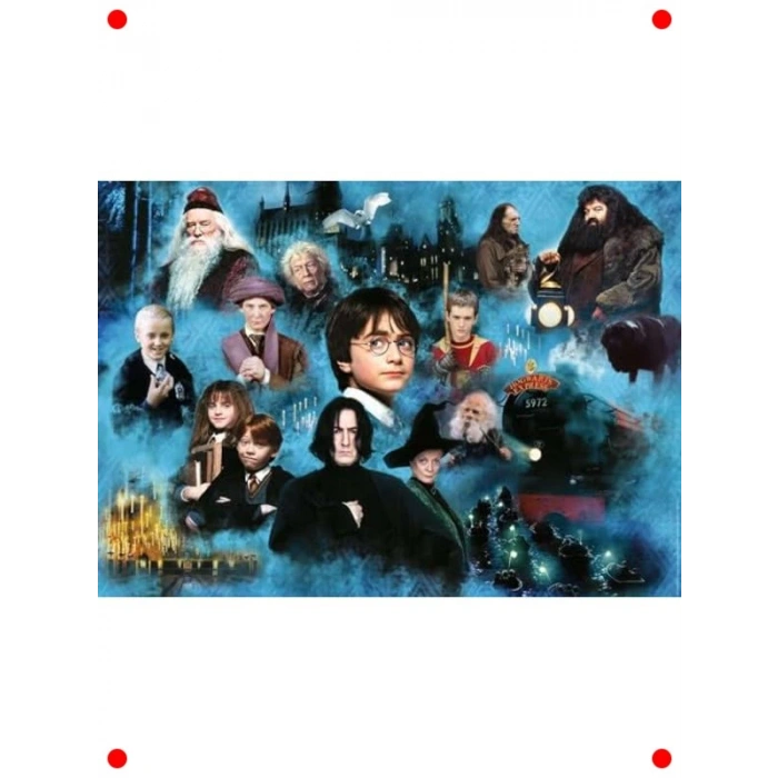 1000 Parça Büyücülük Temalı Yapboz Seti