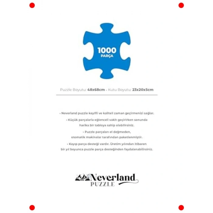 1000 Parça Sanat Yapbozu - Kafe Terası Gece