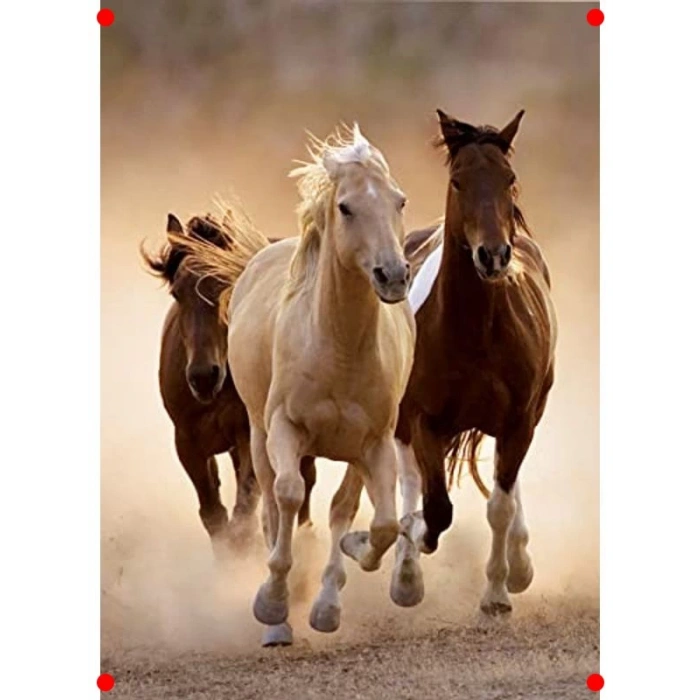 1000 Parça Yetişkin Yapbozu - Koşan Atlar
