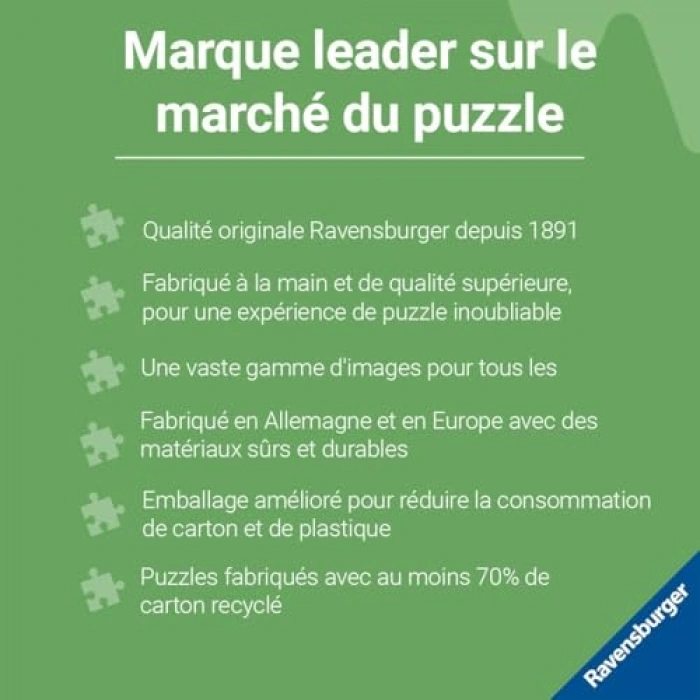 1000 Parçalı Yetişkin Puzzle ile Norveç Manzarası Keyfi