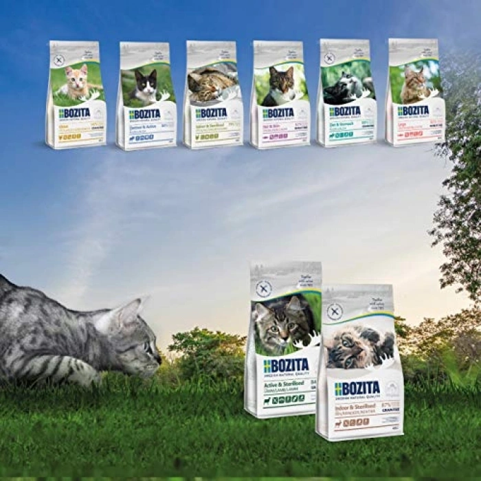 2 kg Geyik Etli Yetişkin Kedi Maması