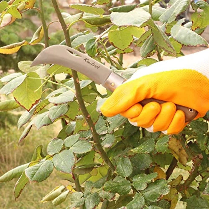 2li Aşı Bıçağı Seti, Aşı Macunu İle Dal Bağ Budama