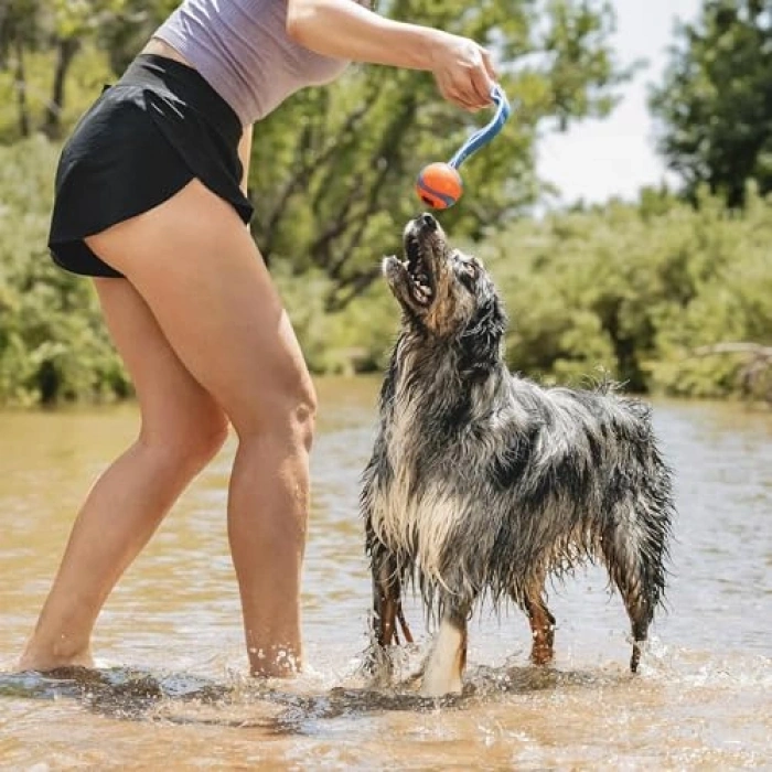 2li Köpek Çekiştirme Topu, Orta Boy, Dayanıklı