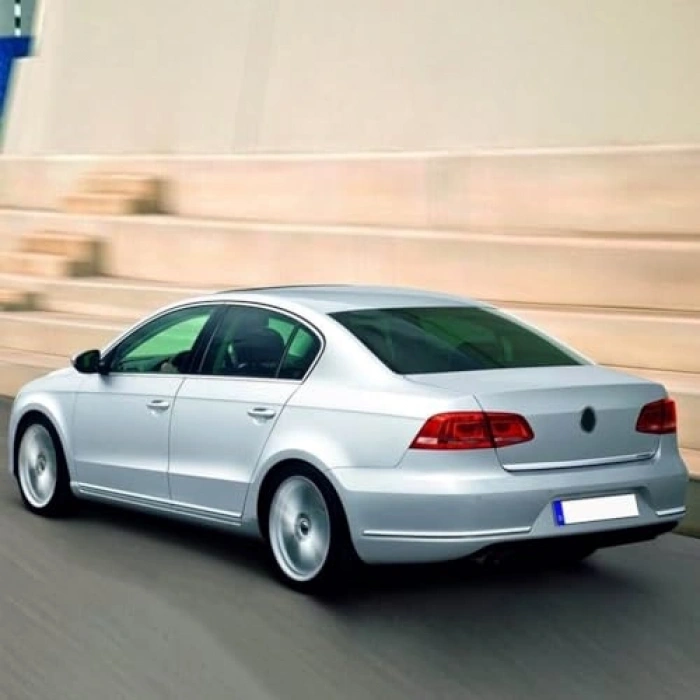 2011-2014 VW Passat B7 İçin Arka Baj Amortisörü Piston