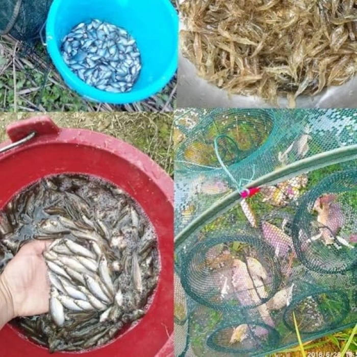 21 Delik ile Dayanıklı Balık Kafesi, Etkili Kullanım