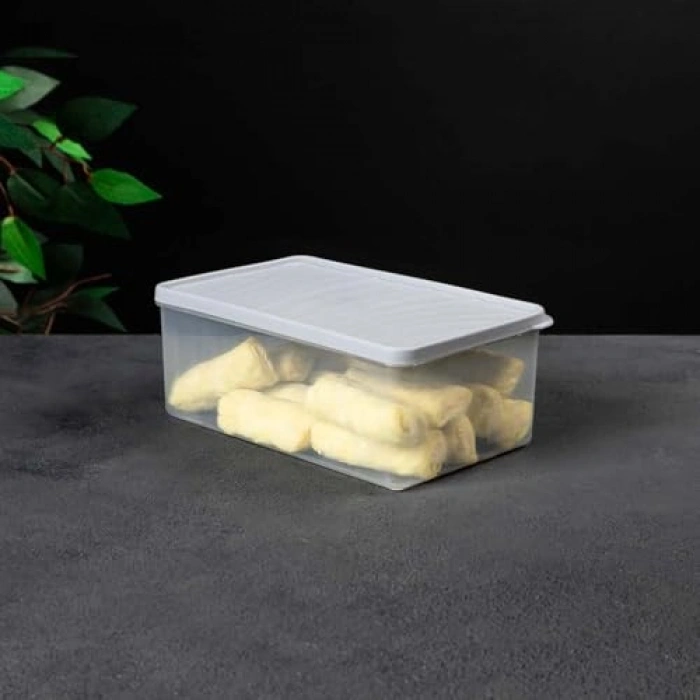 2.1 L Derin Dondurucu Saklama Kabı, Gıda Koruma