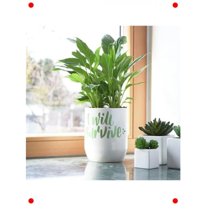 24lü Çeşitli Renkler Sanatsal Markör Kalem Seti