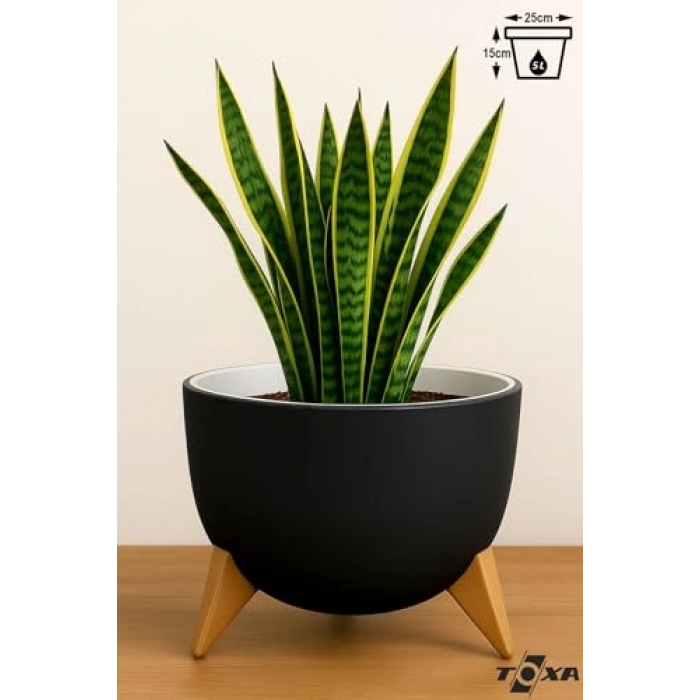 25 cm boyutunda 5 litre ayaklı süzgeçli plastik saksı, antrasit