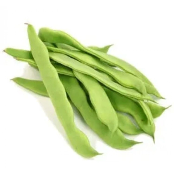 25 Gram Romano Fasulye Tohumu, Çoklu Paket