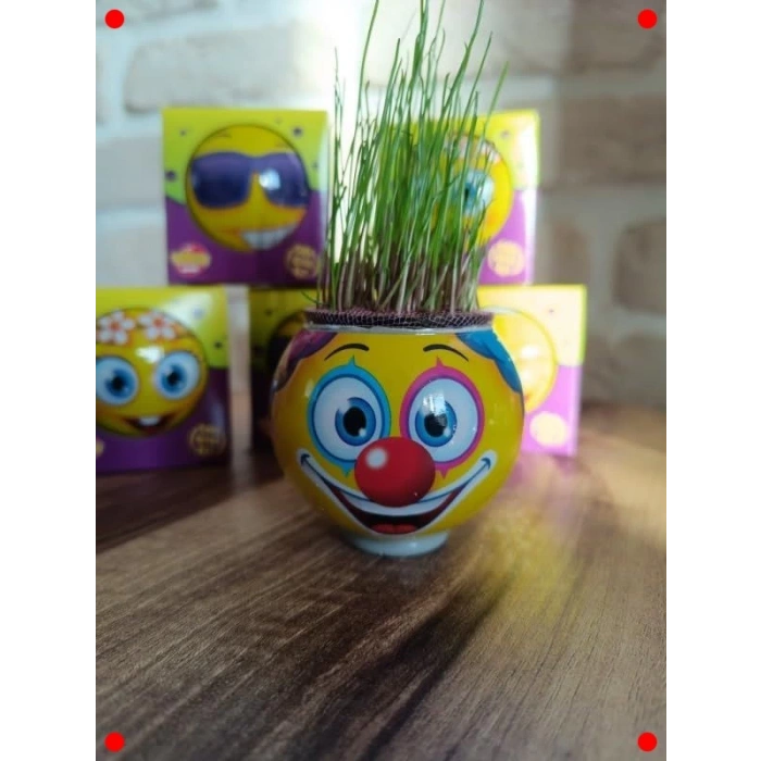 26 Adet Tek Kutulu Çim Adam Eğitici Oyuncak Seti